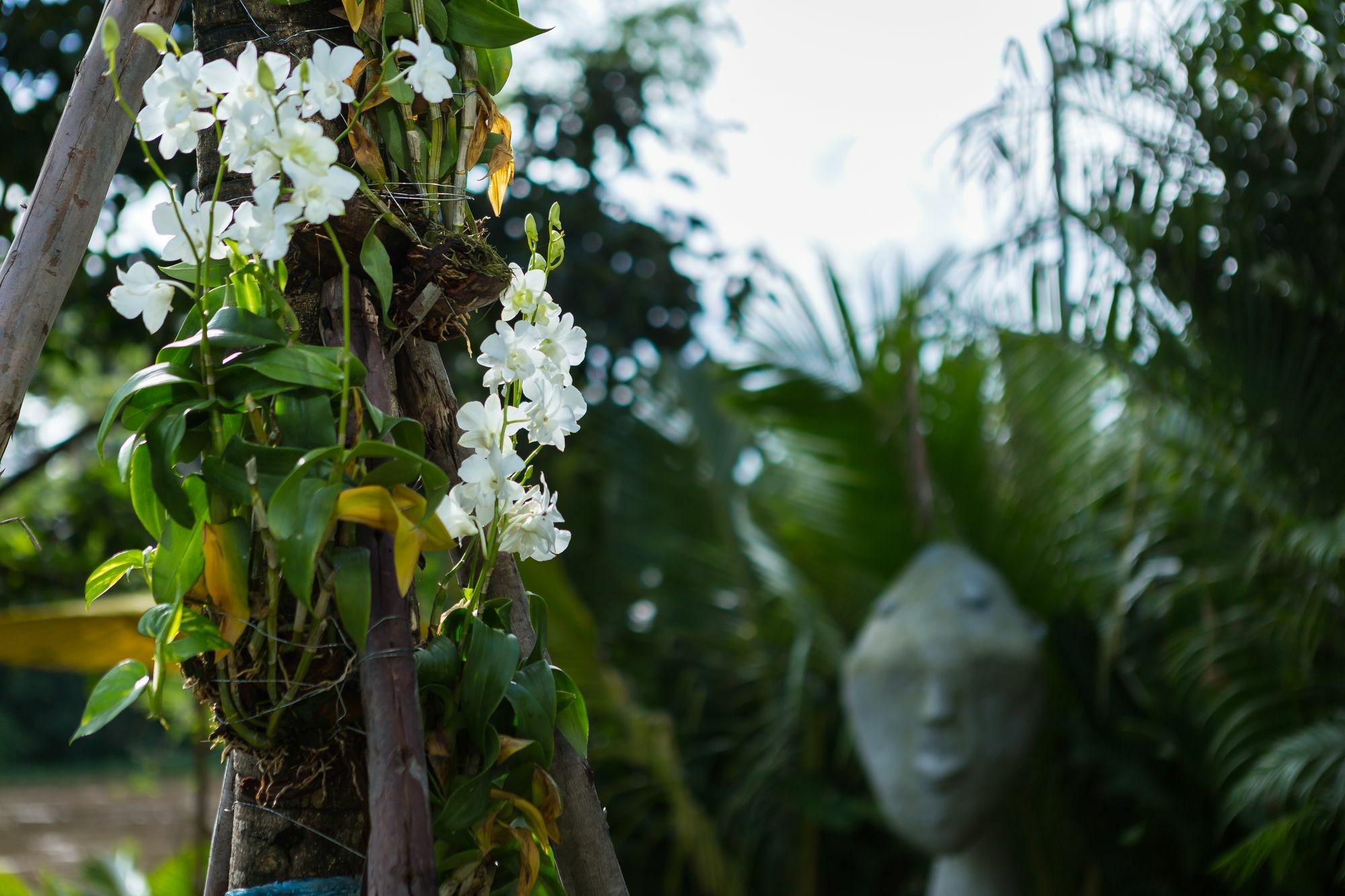 River Art Hotel Chiang Mai Eksteriør bilde